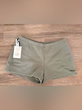Aritzia Smoky Sage Cozy Fleece Shorts